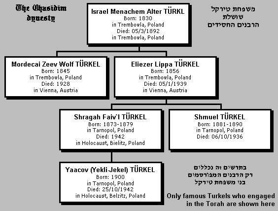 The prominent Rabbis of the Turkl`s (English)